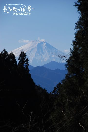 軍刀利神社から富士山を望む